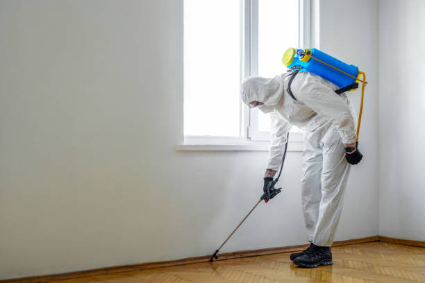 Best Residential Pest Control  in Green Village, NJ