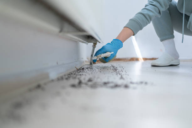 Pest Prevention Services in Green Village, NJ